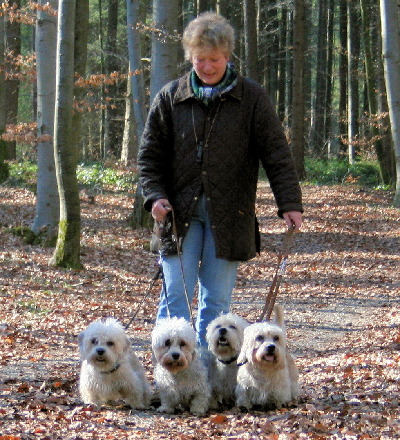 2006: meine vier Dandies